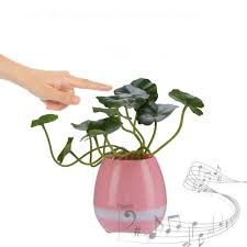 Chậu hoa phát nhạc cảm ứng BT