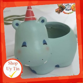 Chậu hà mã🔥 |FREESHIP 🌺 SIÊU XINH | LỖI 1 ĐỔI 1