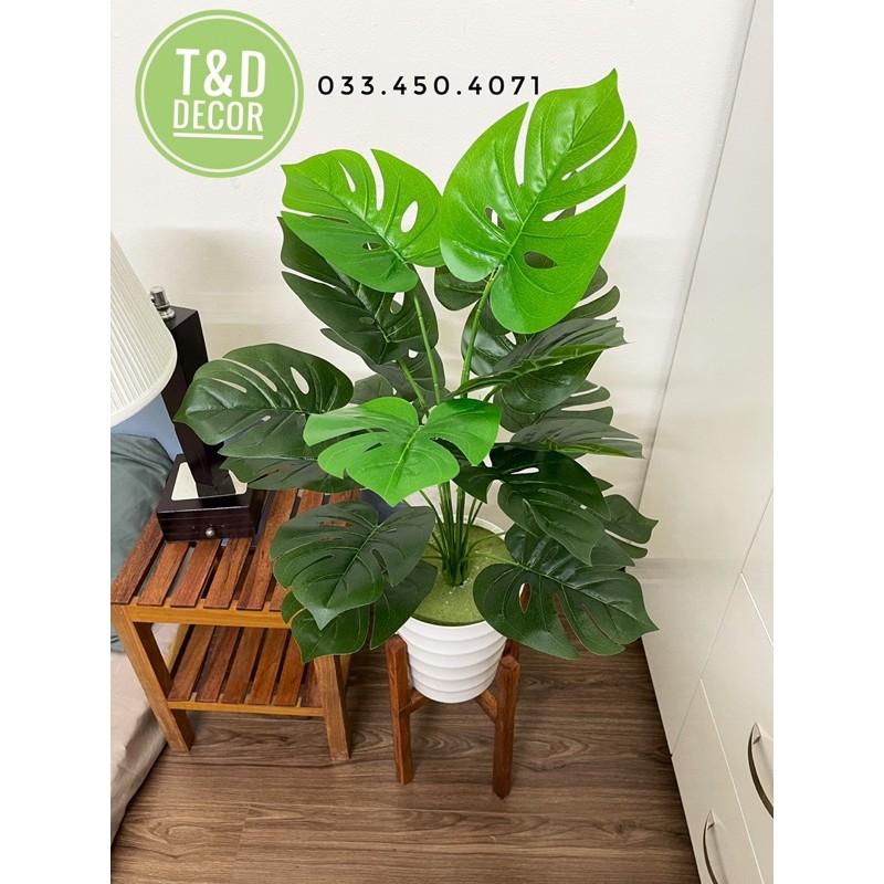 Cây giả-Cây trầu bà lá xẻ monstera 75cm