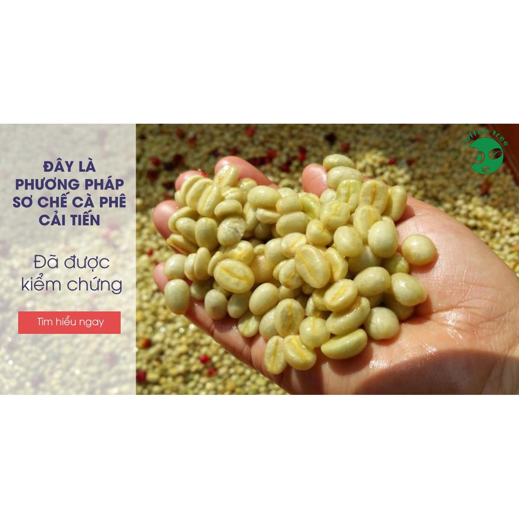 Cà phê hạt Arabica Cầu Đất nguyên chất 100% Coffee Tree 1kg thơm nồng, vị nhẹ, gu tây