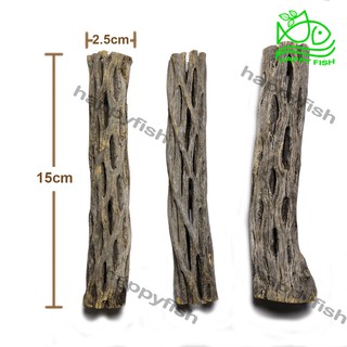 Lũa Cholla Cactus - Lũa xương rồng