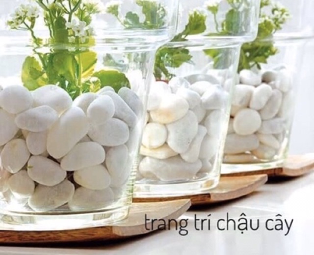 [500 GRAM] Sỏi Cuội Trắng Trang Trí Sân Vườn, Chậu Cây, Hồ Cá, Thuỷ Sinh