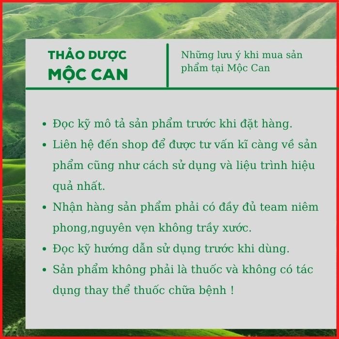 Trà Túi Lọc Cà Gai Leo Mộc Can giải độc mát gan thanh nhiệt giải độc cơ thể tăng cường sức khỏe 25 Túi | BigBuy360 - bigbuy360.vn