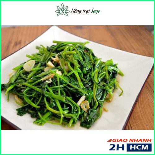 Hạt Giống Rau Muống Lá Lớn Dễ Chăm Sóc, Trồng Quanh Năm (gói 50 gr) - Nông Trại Sago