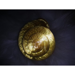 VỎ ỐC MƯỢN HỒN - TRƠN - IN 3D - SIZE LỚN - Hermit crab shell