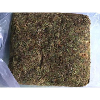 Gói 1kg rêu rừng sạch - giá thể trồng lan - reurung1kg
