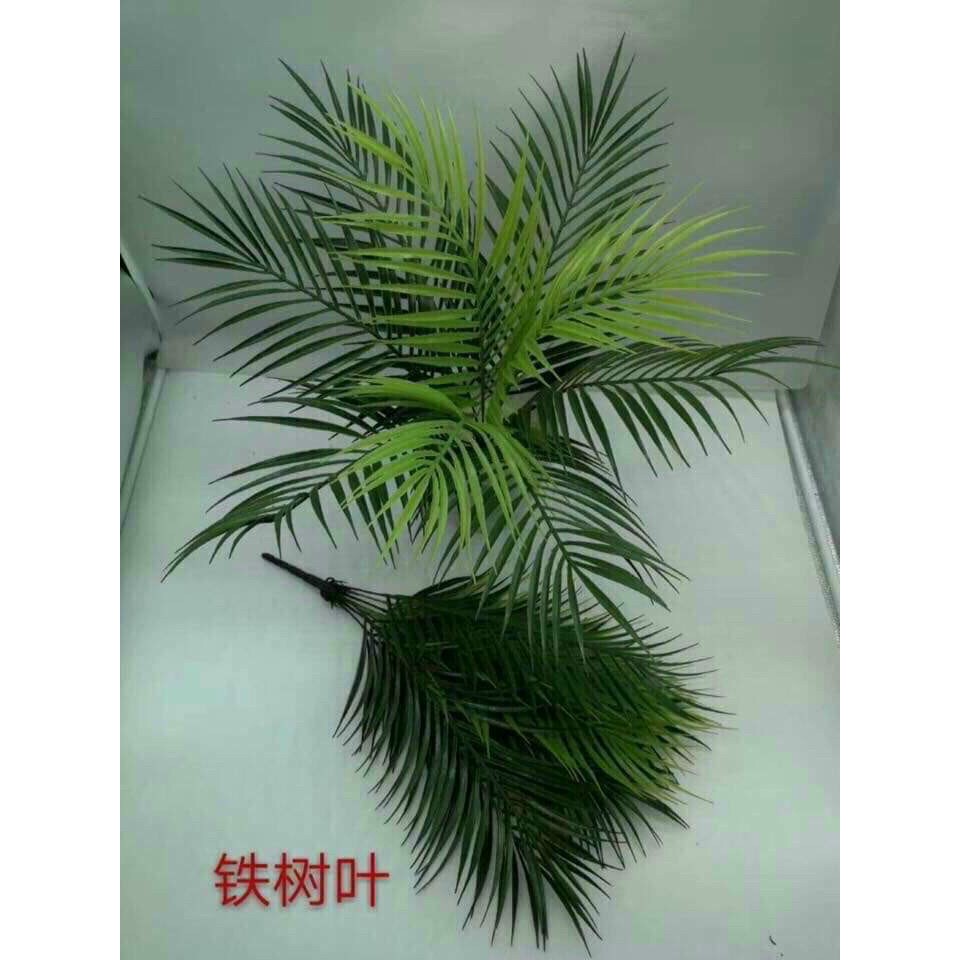 Cây dừa giả-Bụi cây dừa cao 50CM