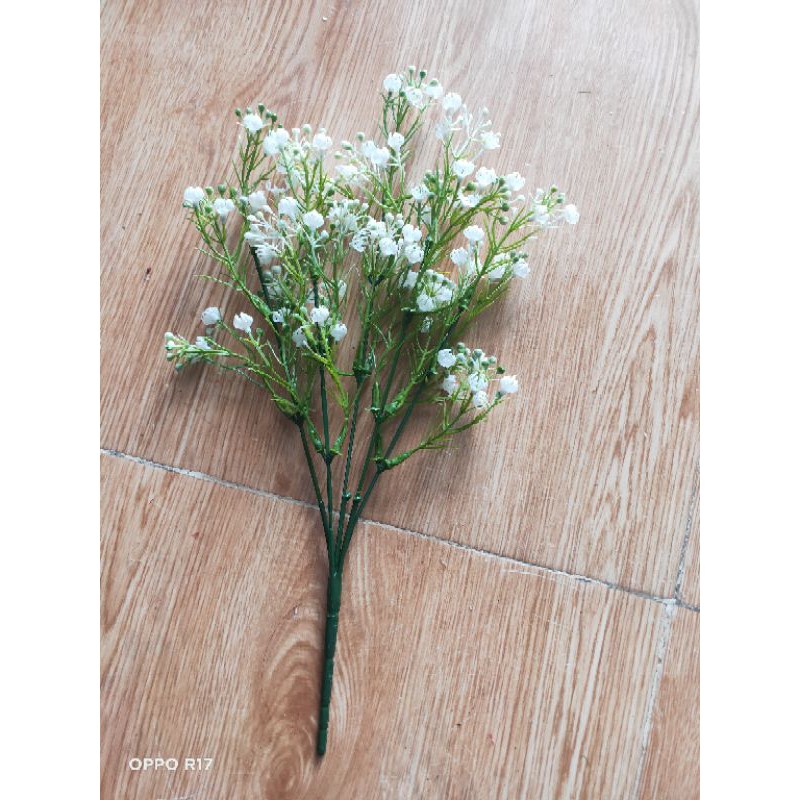 Điểm baby,cành ngắn 15k