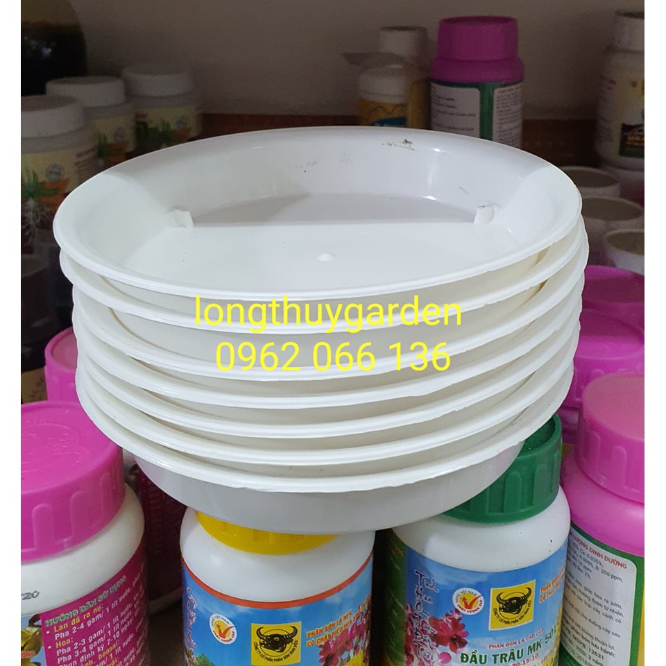 Set 10 đĩa lót chậu D15cm ( lòng 12.3 cm)