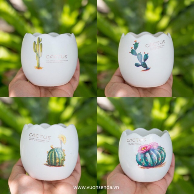 Chậu sứ hình trứng mini 7.5x8cm - In hình
