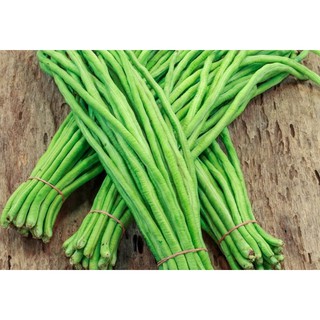 Hạt giống đậu đũa gói 20gr