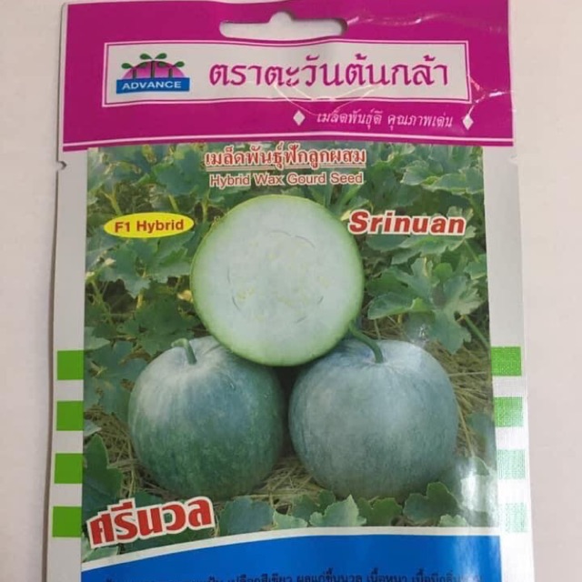 Hạt giống bí thơm Thái Lan