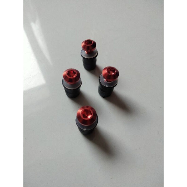Bộ ốc và cao su bắt kính gió xe.