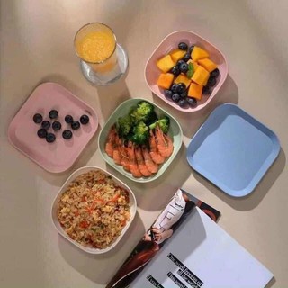 Set 8 Đĩa Lúa Mach Nhiều Màu Xinh Xắn