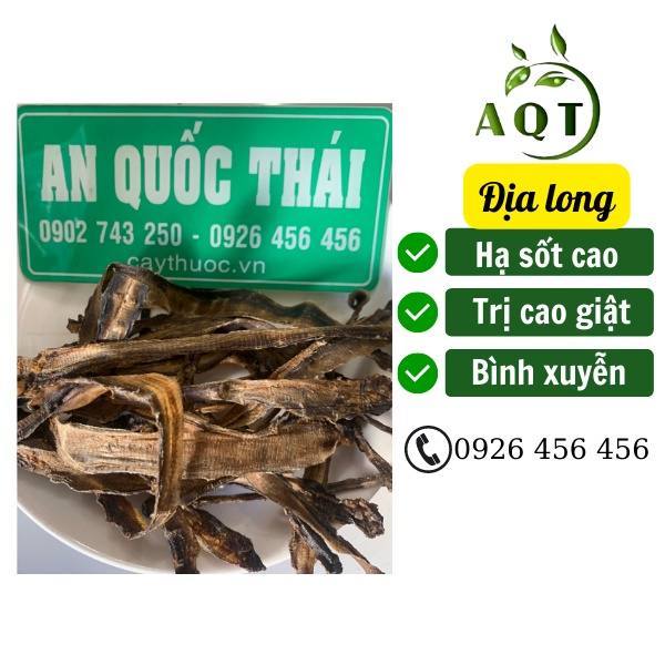 1kg Địa Long Khô [Loại 1] Sạch, Hạ Sốt Cao, Tăng Đề Kháng