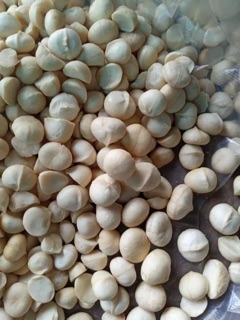 Hạt Maccadamia chưa tách vỏ