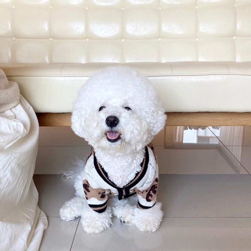 Áo Len Đan Cho Thú Cưng Chó Poodle