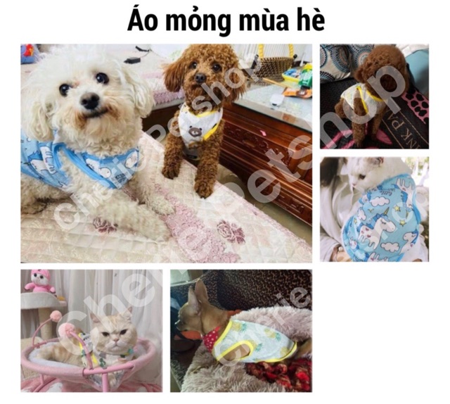 Áo thun mỏng mùa hè mát mẻ CUTE - 8 mẫu