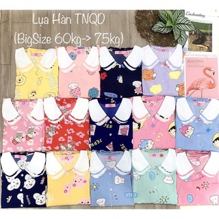 (BigSize Lụa) Đồ Bộ Pijama BigSize Lụa Hàn TNQD