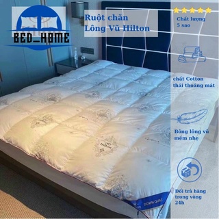 Ruột chăn lông vũ Hilton Khách sạn cao cấp