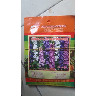 Hạt giống hoa phi yến mix (violet)