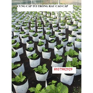 TÚI TRỒNG CÂY NILONG 2 DA SIÊU BỀN