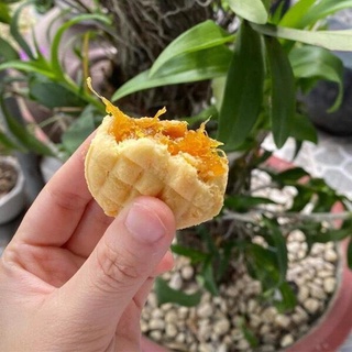 Nhân bánh dứa sên sẵn -làm bánh dứa đài loan