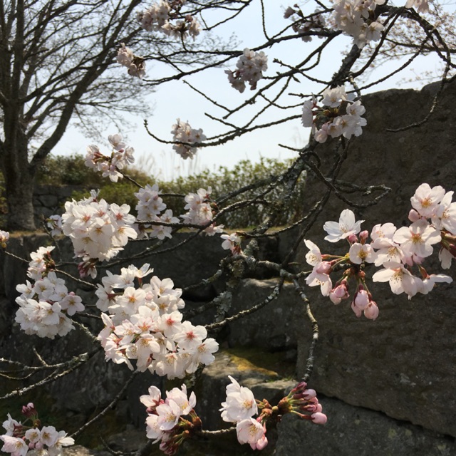 Xưởng sale Quảng Châu giárẻ