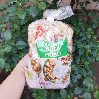 Ngũ cốc yến mạch G&G Đức