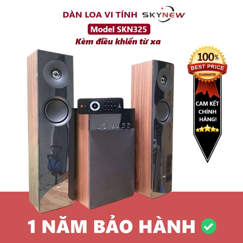 Loa karaoke bluetooth SKYNEW model 325, loa vi tính SKYNEW 325 vân gỗ