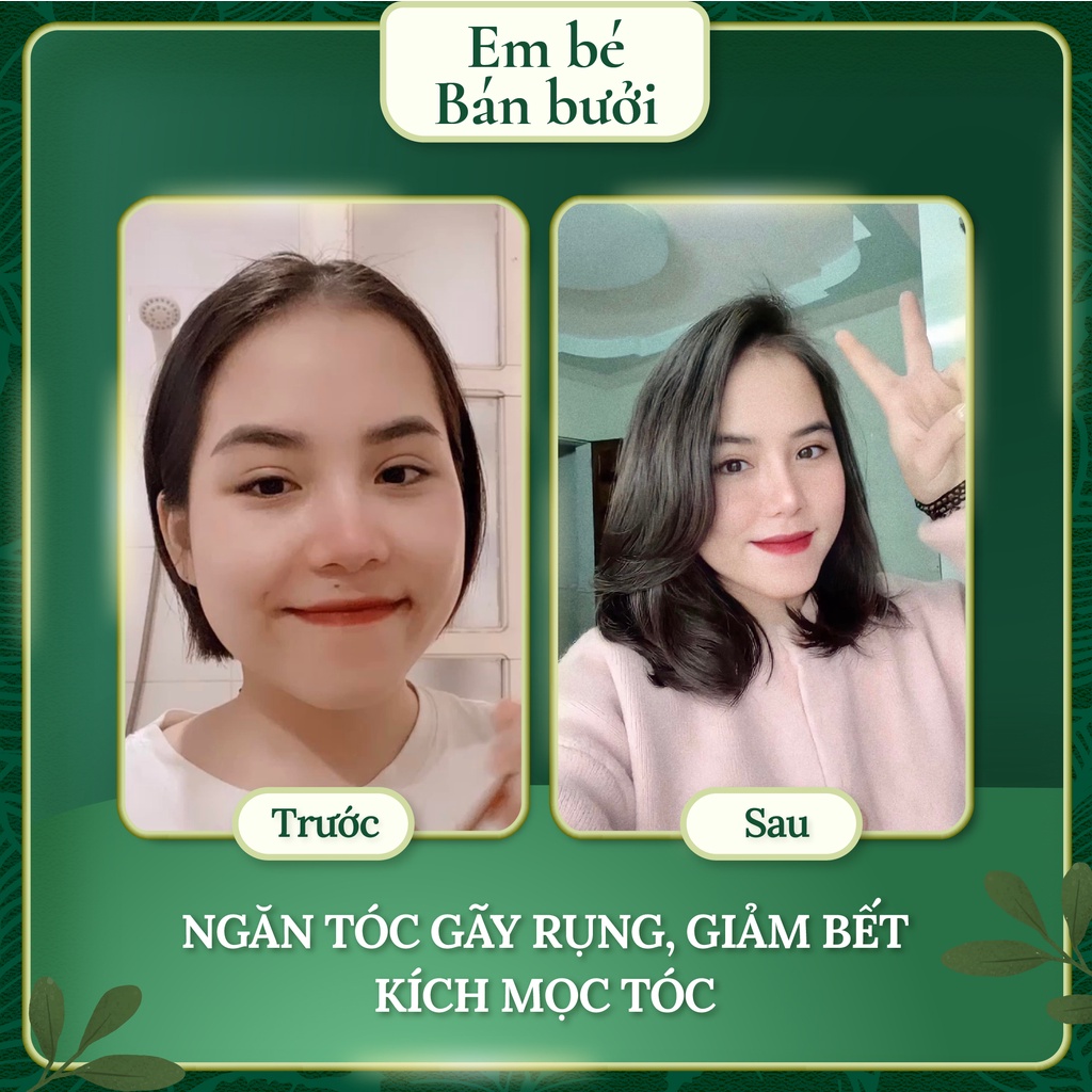 Dầu Gội Diệp Mộc Lamei