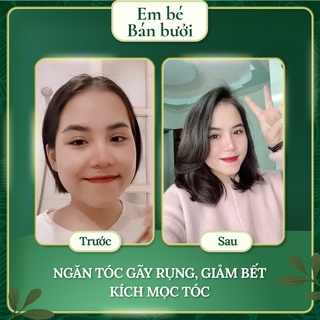 Dầu Gội Diệp Mộc Lamei