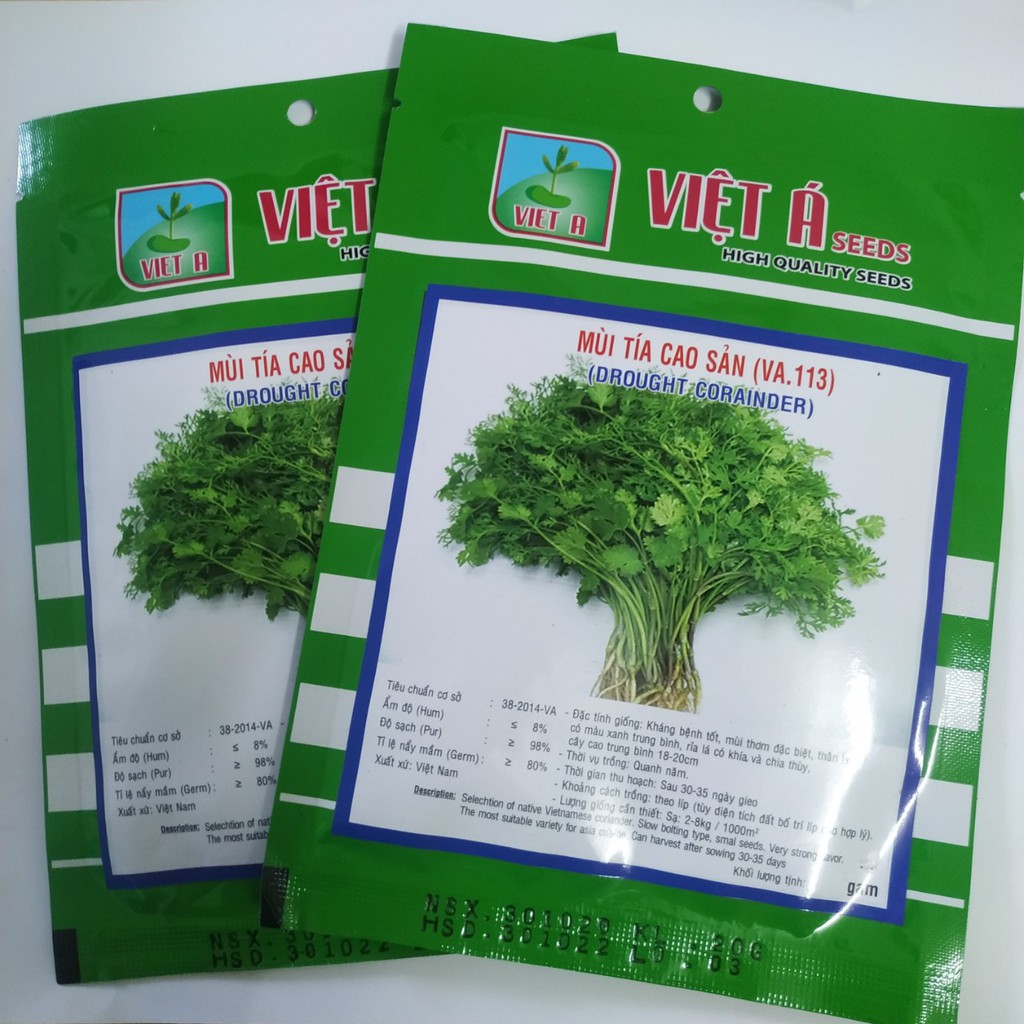 Hạt giống rau mùi tía cao sản 20g