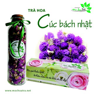 [FREESHIP 99K TOÀN QUỐC TRÀ CÚC BÁCH NHẬT TÍM - MỘC HOA TRÀ