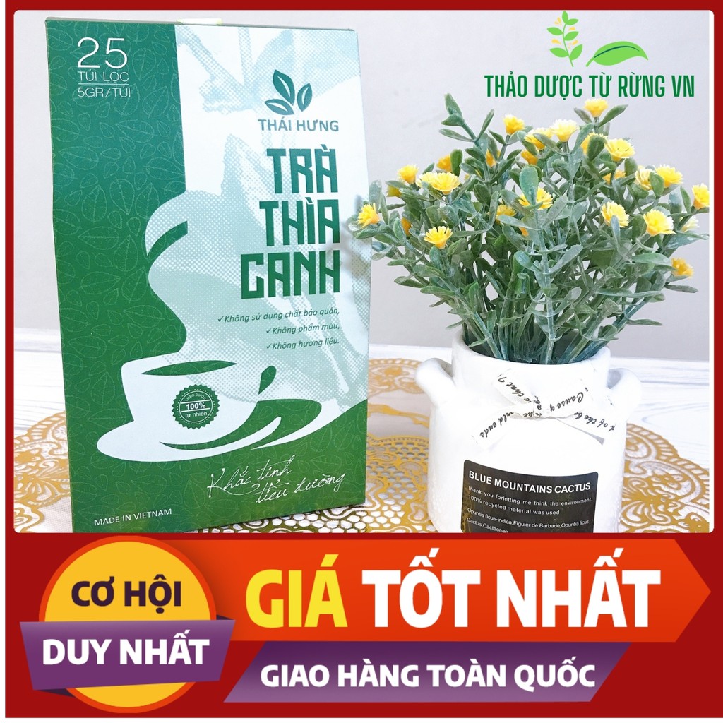 [15 NGÀY DÙNG] Trà Thìa Canh 💖 THÁI HƯNG Cho Người Tiểu Đường Chiết Xuất Từ Dây Thìa Canh, Lá Khổ Qua Rừng 25 gói 125g