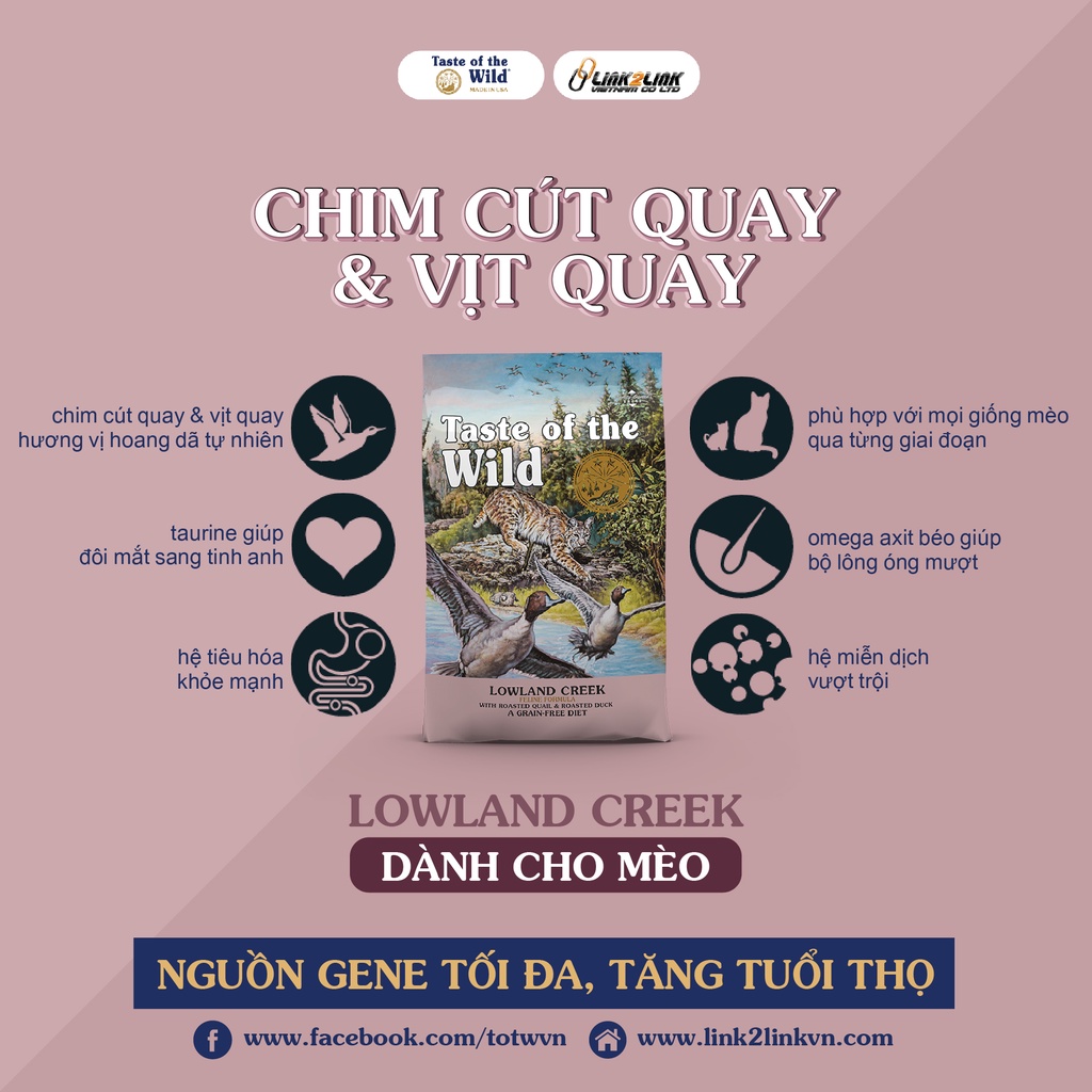 URBAN_TASTE OF THE WILD_HẠT CHO MÈO MỌI LỨA TUỔI (MỸ)