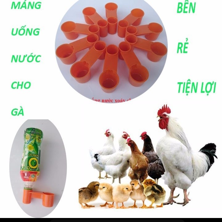 [Mã PET50K giảm Giảm 10% - Tối đa 50K đơn từ 250K] Máng uống nước cho gà