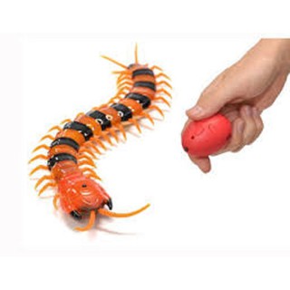 (TẶNG PIN ĐIỀU KHIỂN) BỘ ĐỒ CHƠI CON RẾT ĐIỀU KHIỂN DÙNG SẠC GIÚP BÉ KHÁM PHÁ THẾ GIỚI, CAM ĐẢM HƠN, TỰ TIN HƠN