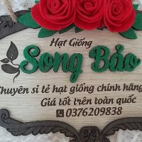Song Bảo Seed