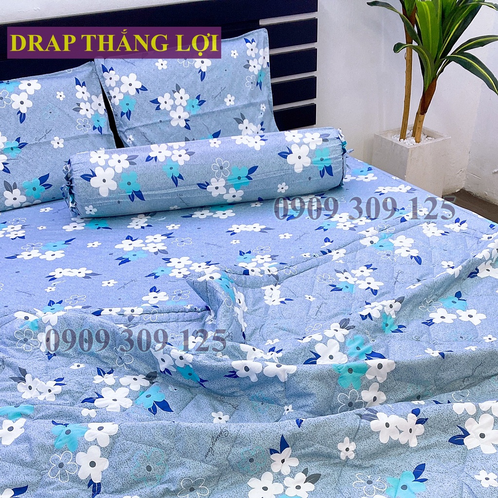 Drap Thắng Lợi, ga giường cao cấp cotton thoáng mát chuẩn logo mẫu HOA MAI XÁM