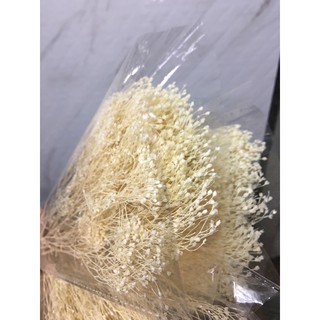 HOA BLOOM GROOM KHÔ