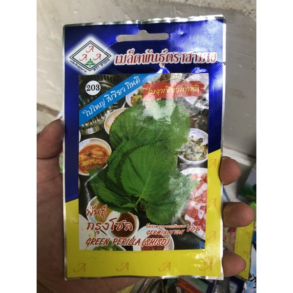 Hạt giống Lá mè Hàn Quốc hàng nhập khẩu thái lan , giống tốt , giá cả hợp lý.