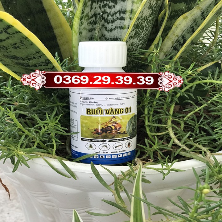 THUỐC RUỒI VÀNG 01 DIỆT TRỪ RUỒI, MUỖI, KIẾN, GIÁN