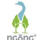 Ngỗng