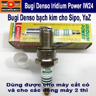 Bugi Xipo YaZ Máy cắt cỏ - Bugi bạch kim cho xe 2 thì