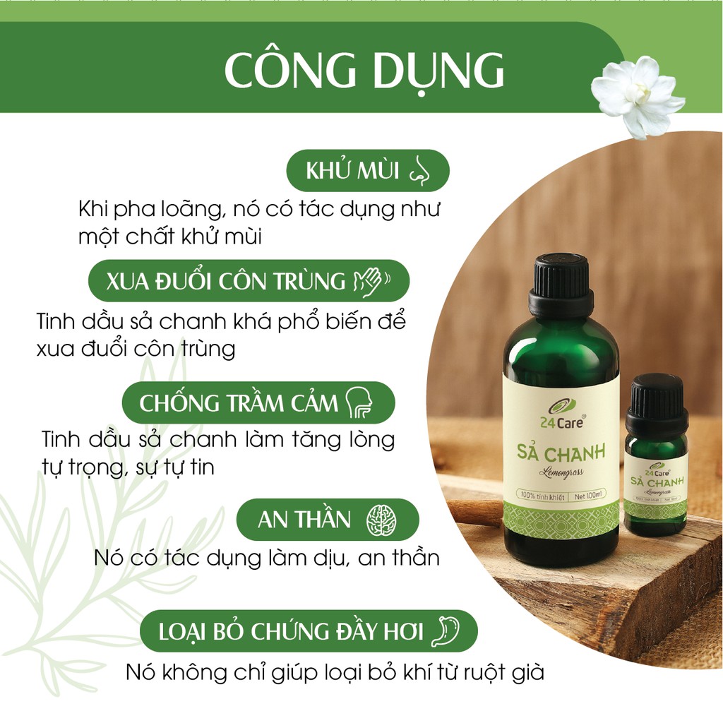 Combo 2 chai Tinh dầu 24Care Quế, Sả Chanh - (10ml/chai)