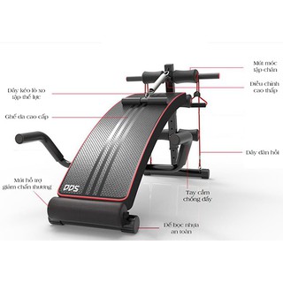 Ghế tập bụng đa năng DDS-104