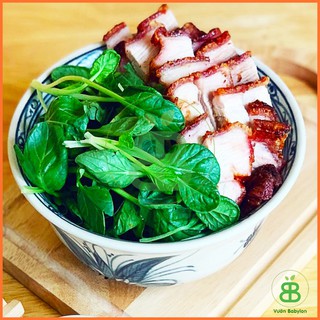 Hạt Giống Cải Hoa Hồng Rạng Đông, Dễ Trồng, Năng Suất Cao, Trồng quanh năm, tỉ lệ nảy mầm cao Vuonbabylon - Gói 5G
