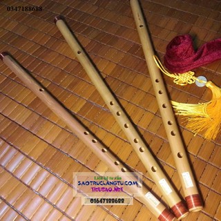 Sáo Đô C5 Phổ Thông LTS 3, Hòa Beat, Hòa Tấu