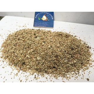 Cát biển ( trải nền bể cá biển) 1kg